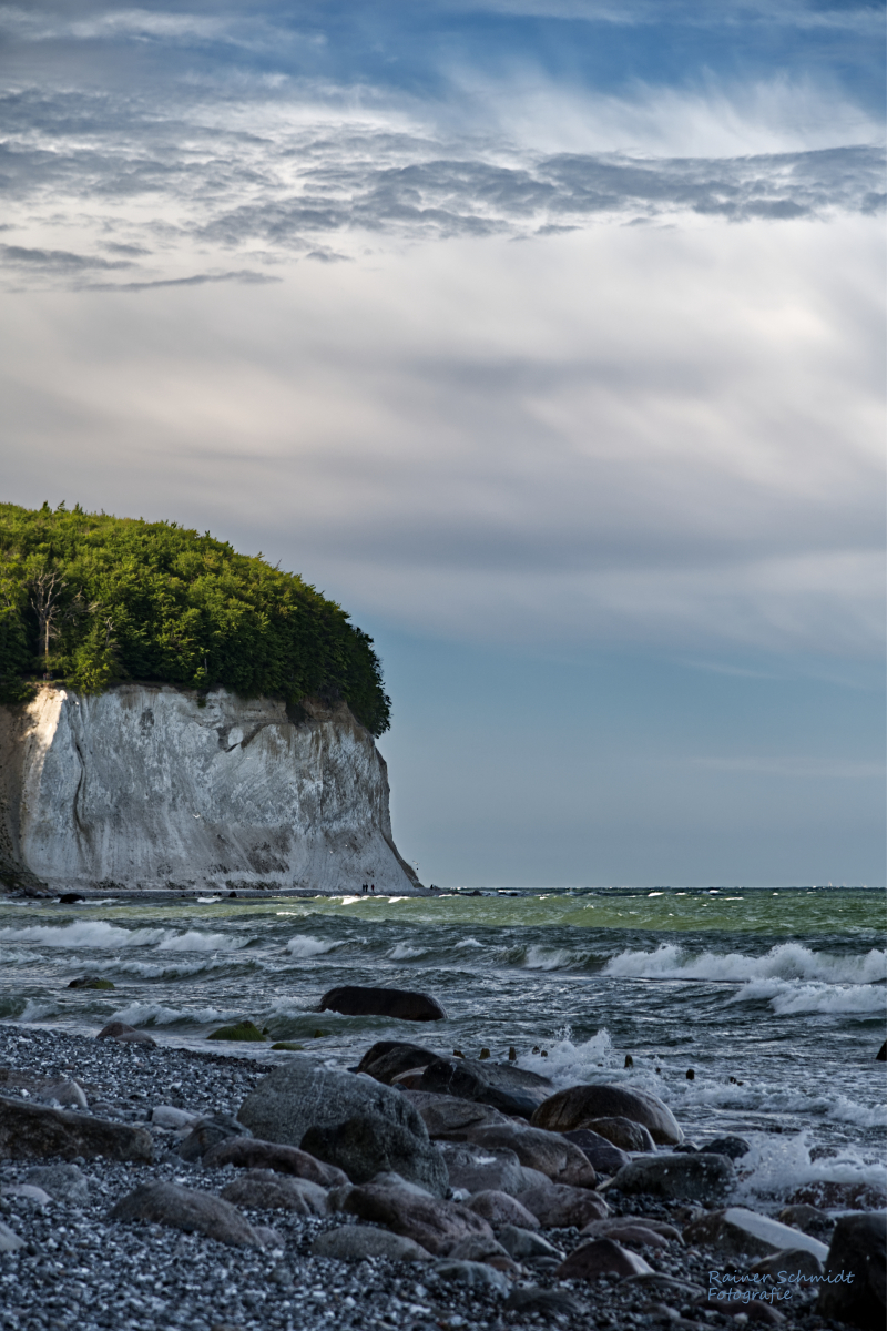 DSC_2248.jpg