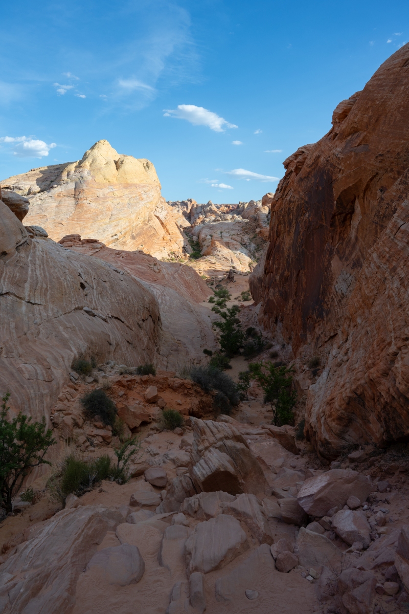 DSC_2249.jpg