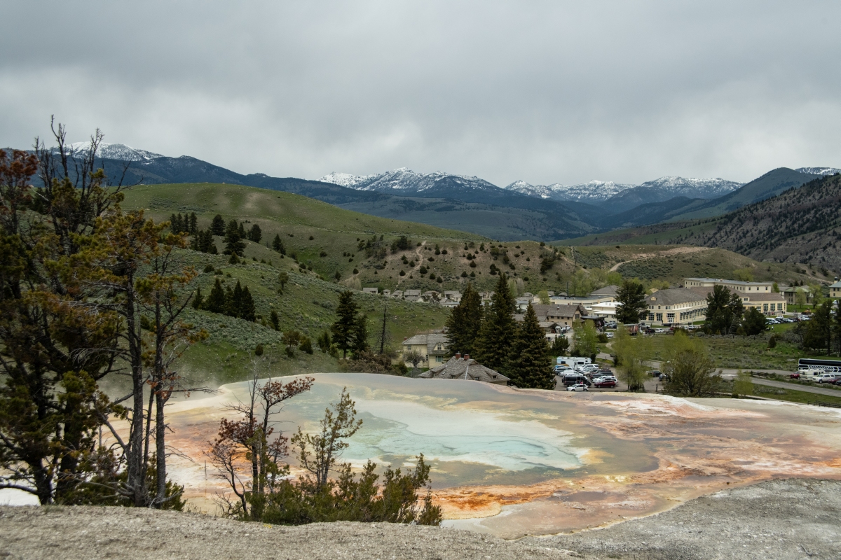 DSC_2256.jpg
