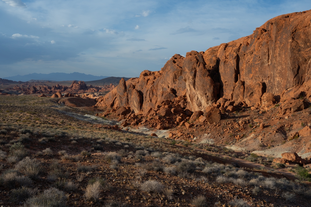 DSC_2256.jpg
