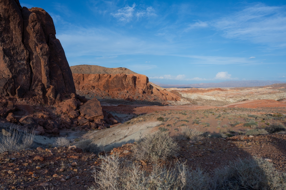 DSC_2263.jpg