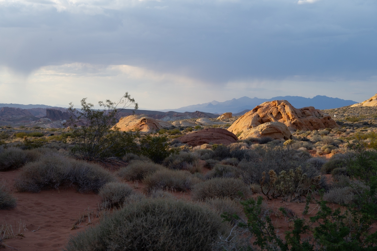 DSC_2272.jpg