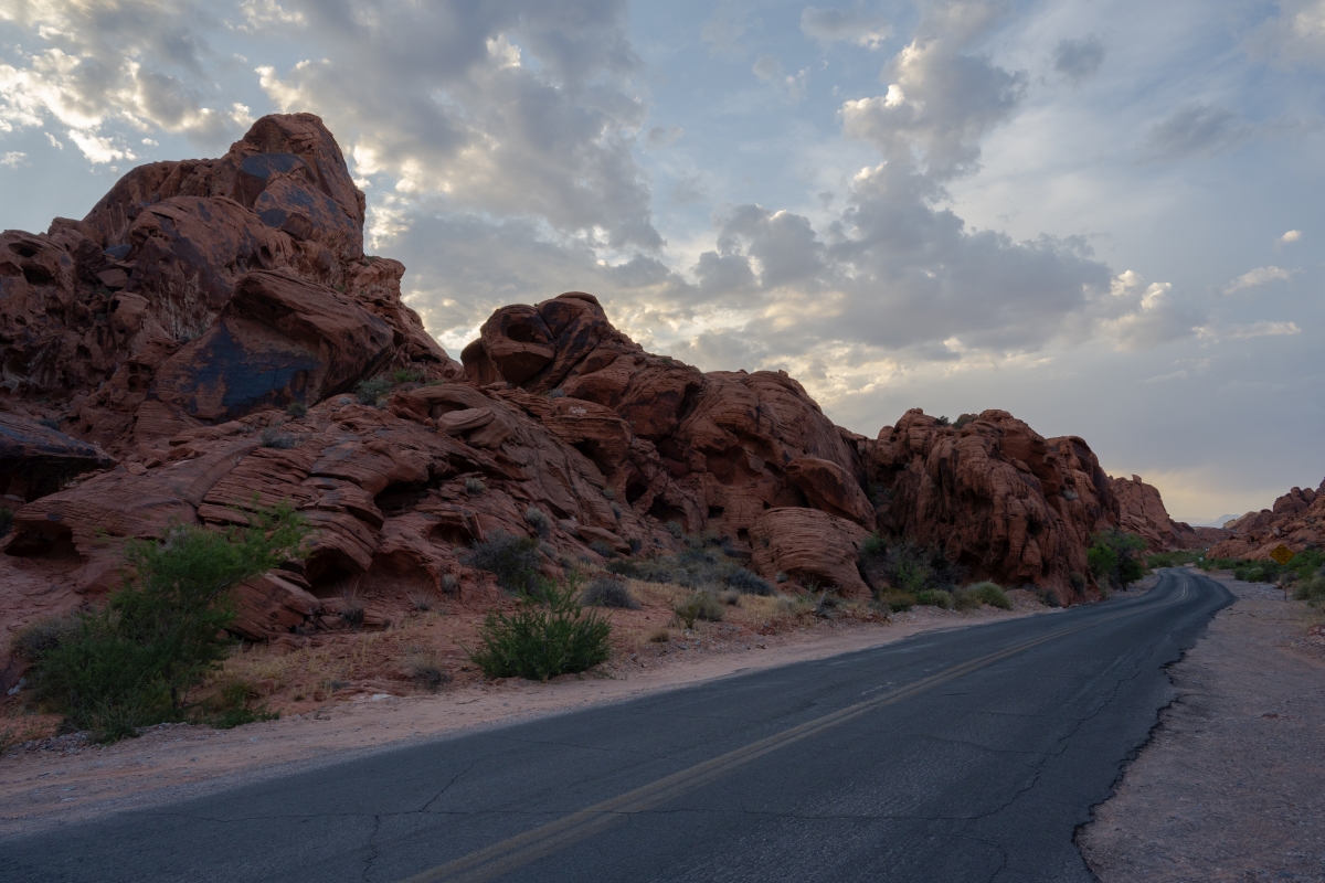 DSC_2282.jpg