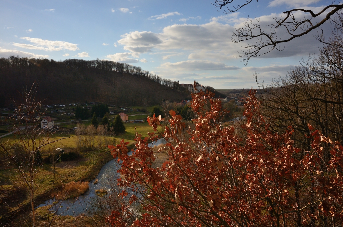 DSC_2296_00001n.jpg
