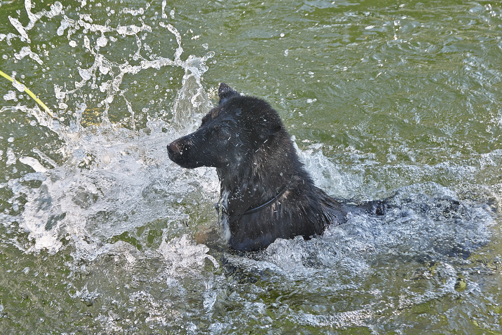 DSC_2301.jpg