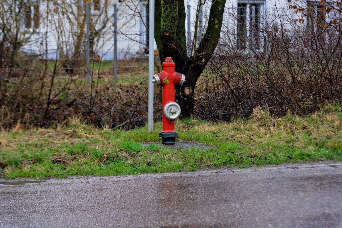 DSC_2317_DxOn.jpg