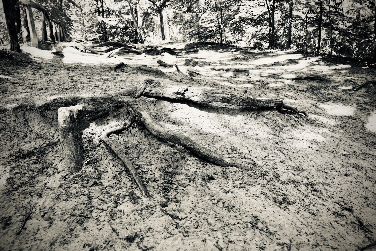 DSC_2324.jpeg