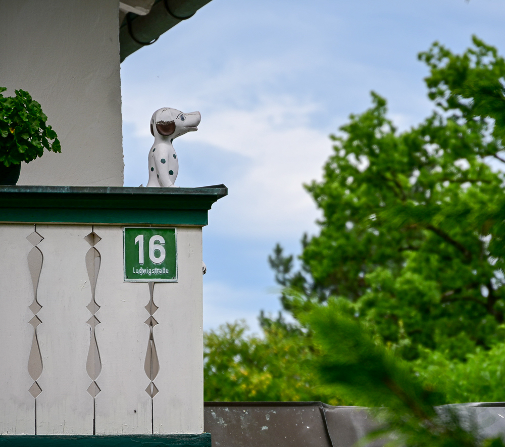 DSC_2329.jpg