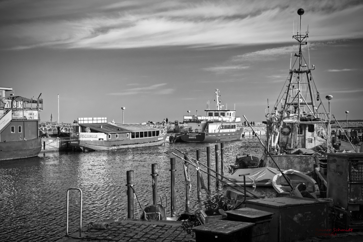 DSC_2389sw.jpg
