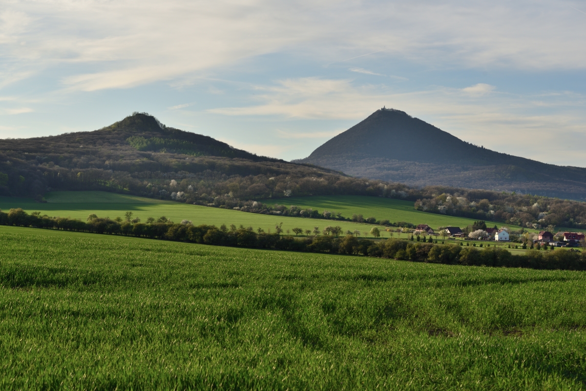 DSC_2397_00001n.jpg