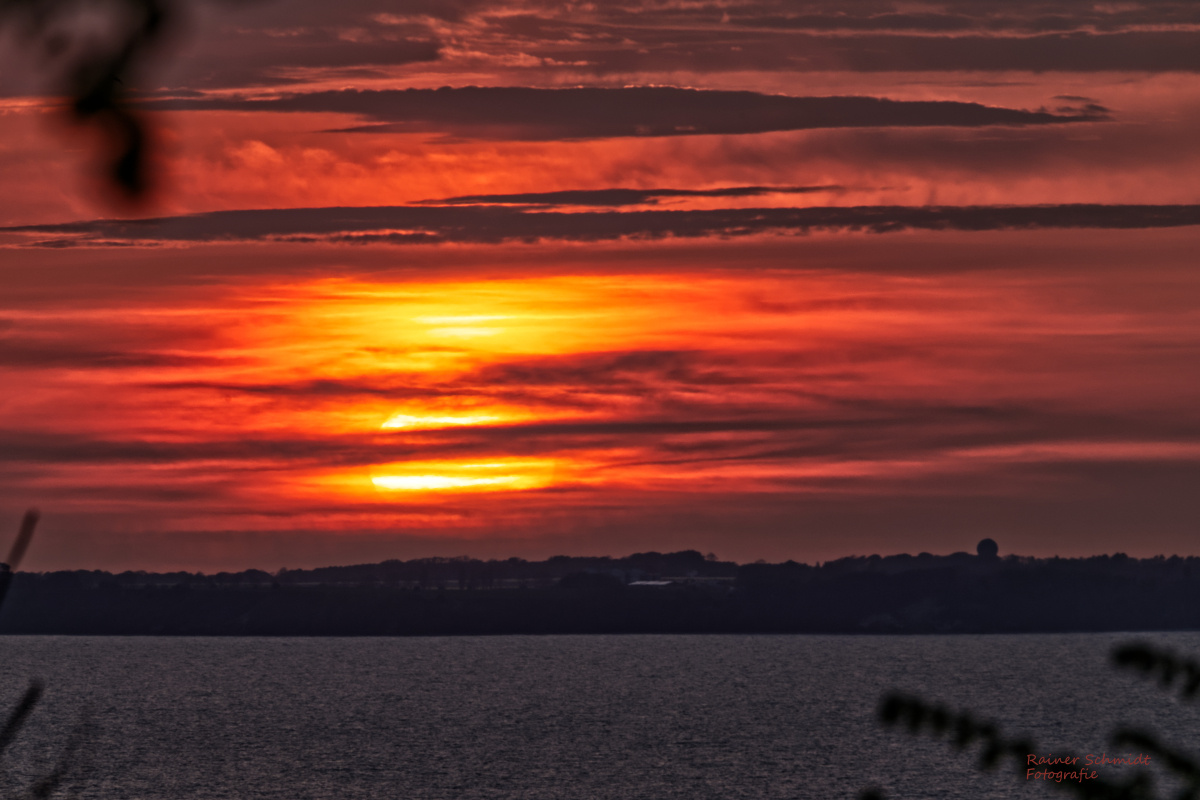DSC_2398.jpg