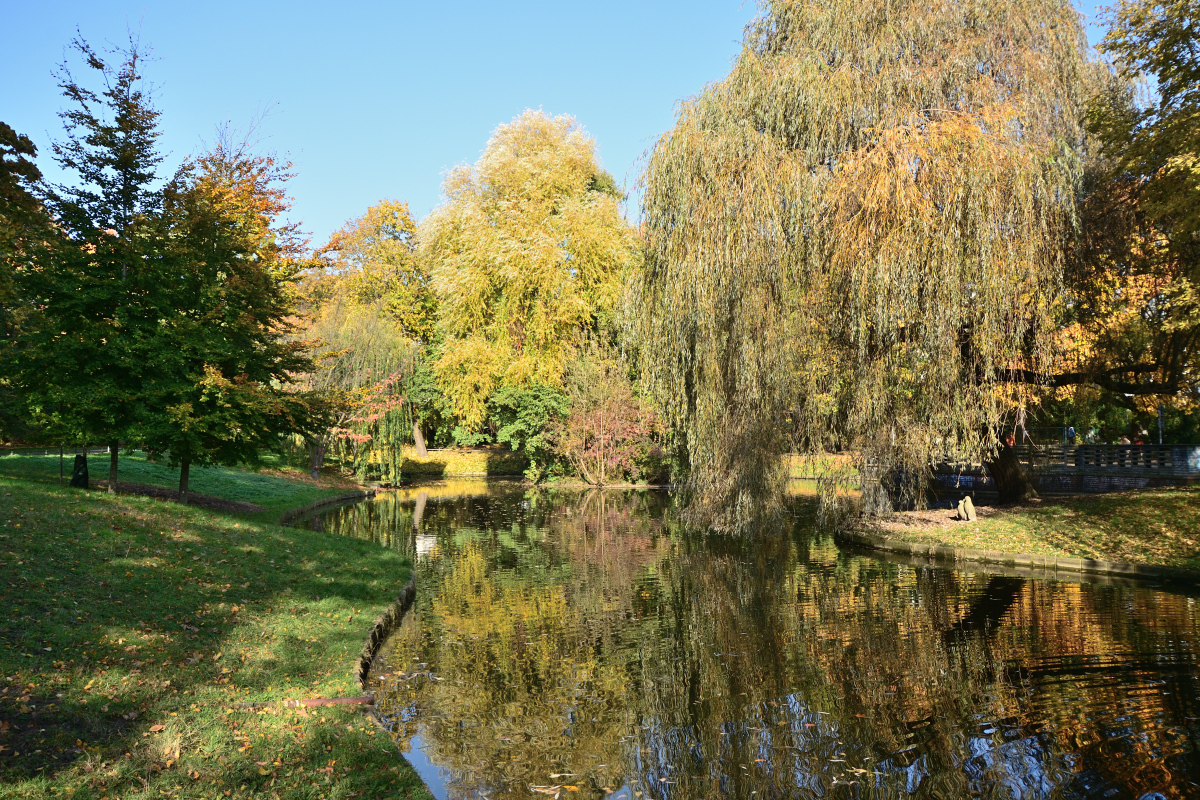 DSC_2401.JPG