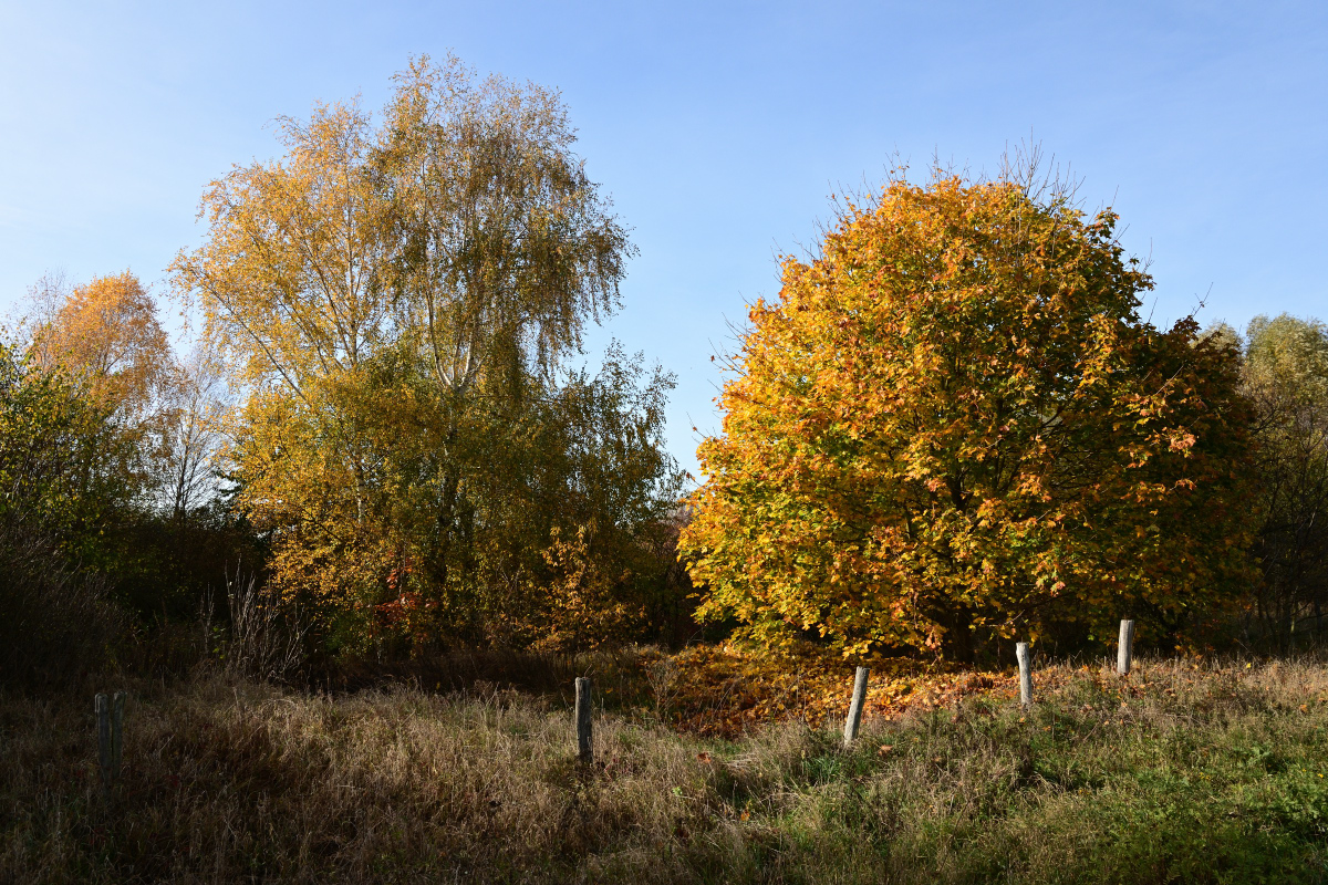 DSC_2404.JPG