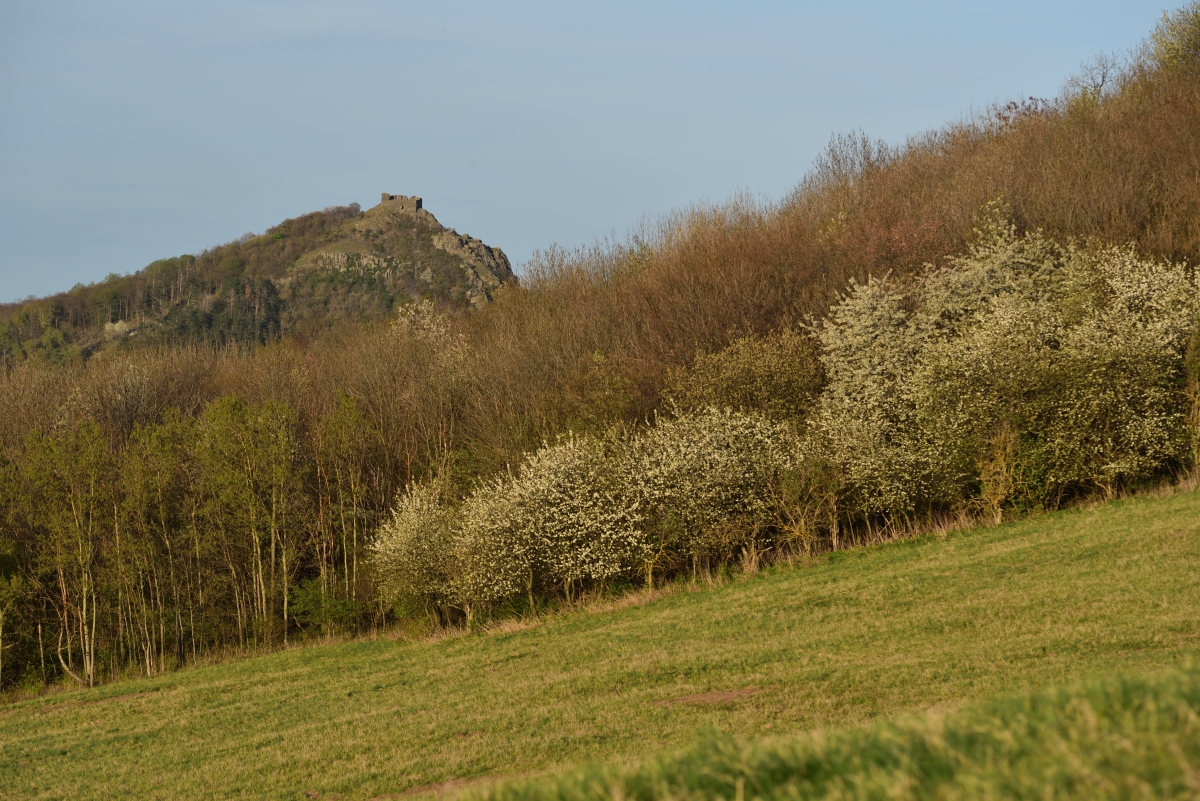 DSC_2419_00001n.jpg
