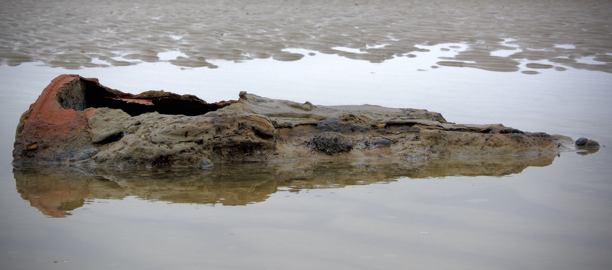 DSC_2422.jpeg