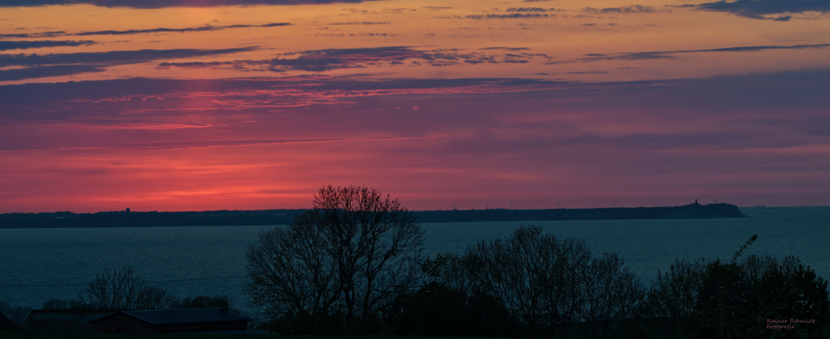 DSC_2429.jpg