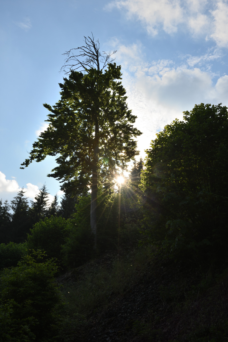 DSC_2434.JPG