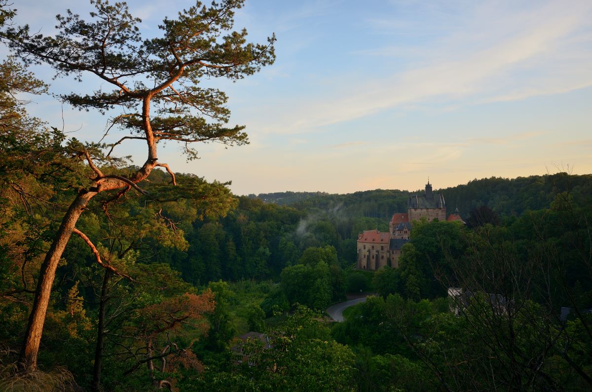 DSC_2444_00001n.jpg