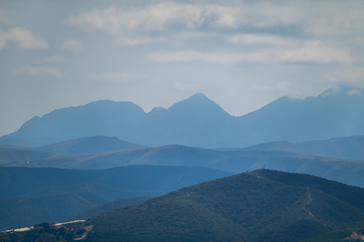 DSC_2446.jpg