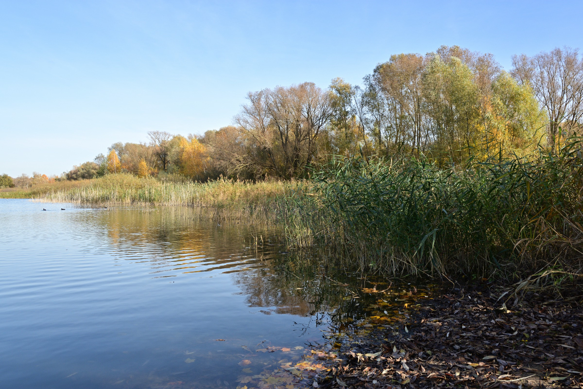 DSC_2450.JPG