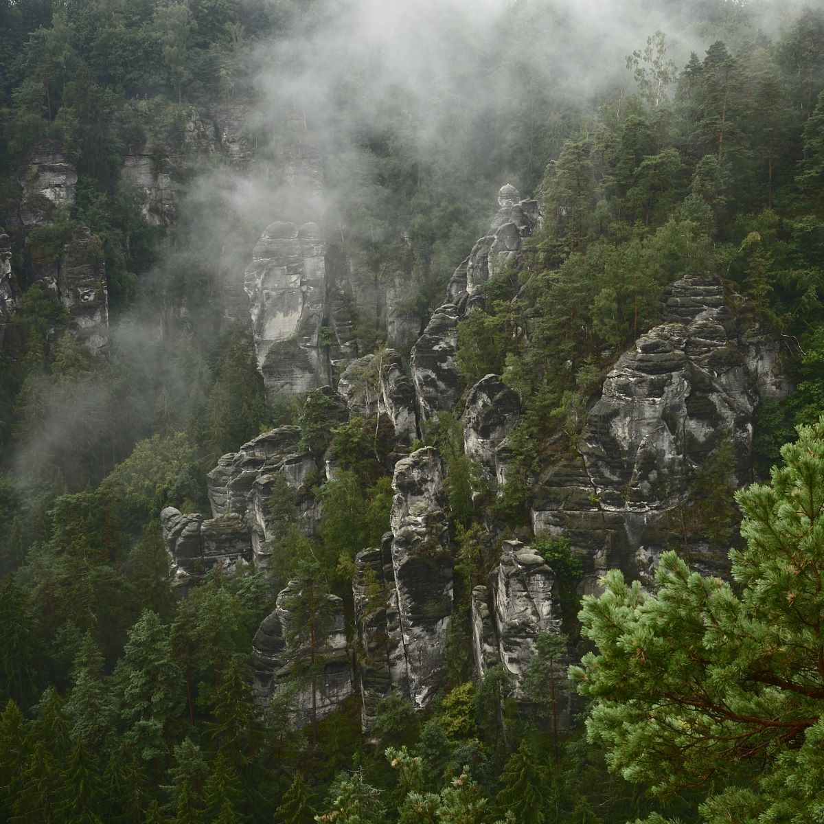 DSC_2457_00001_05n.jpg