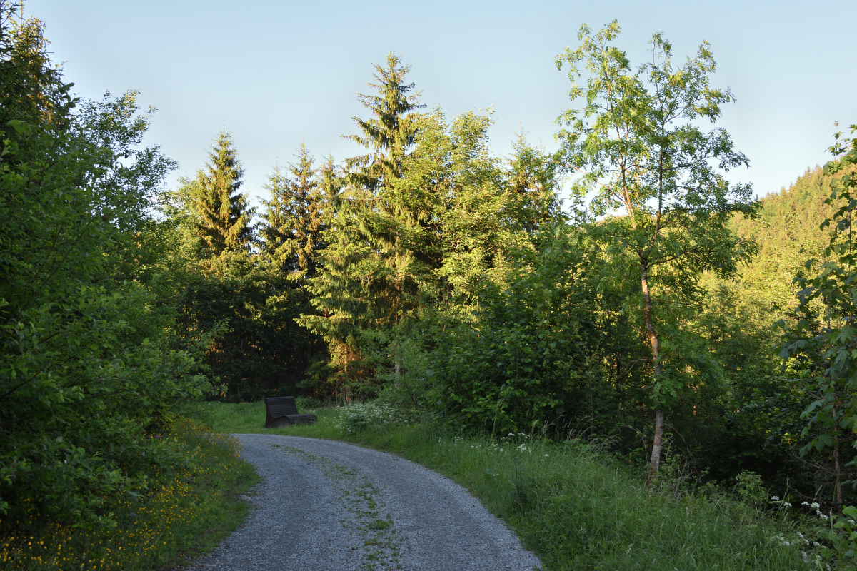 DSC_2459.JPG