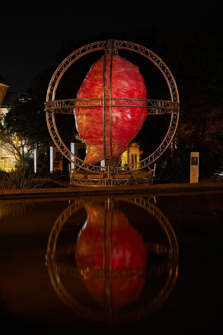 DSC_2467.jpg