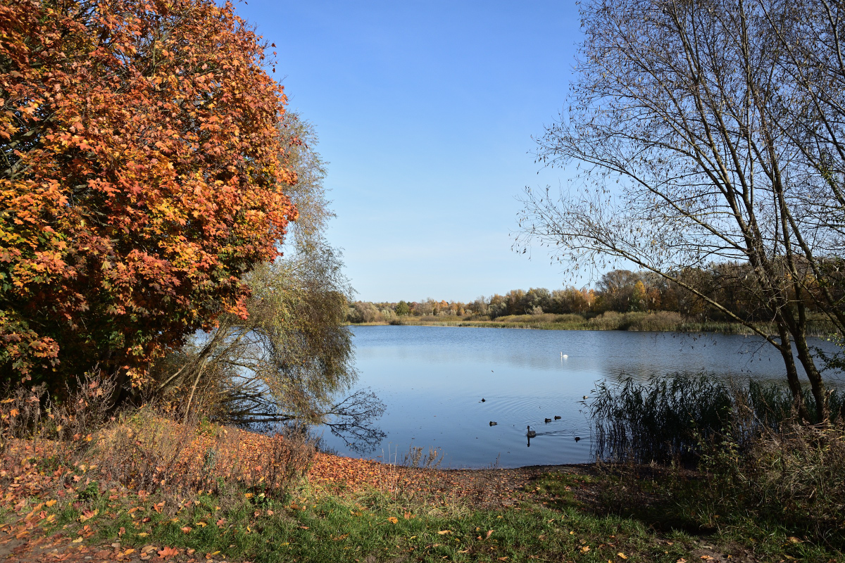 DSC_2468.JPG