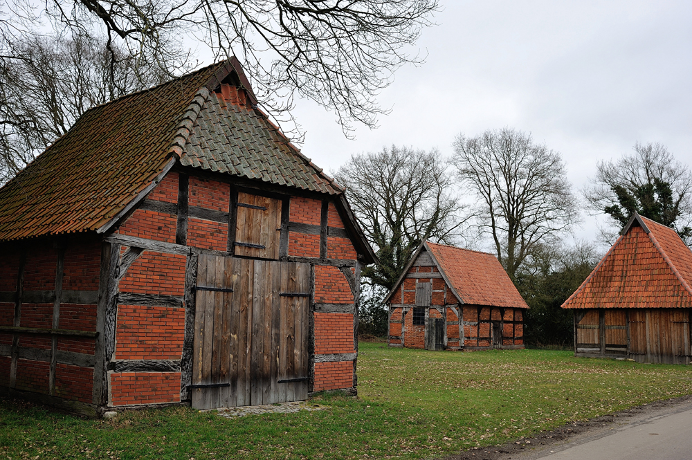 DSC_2490.jpg