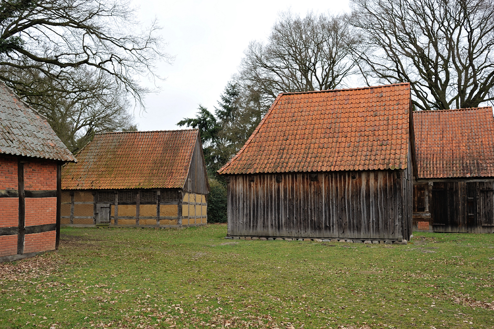 DSC_2491.jpg