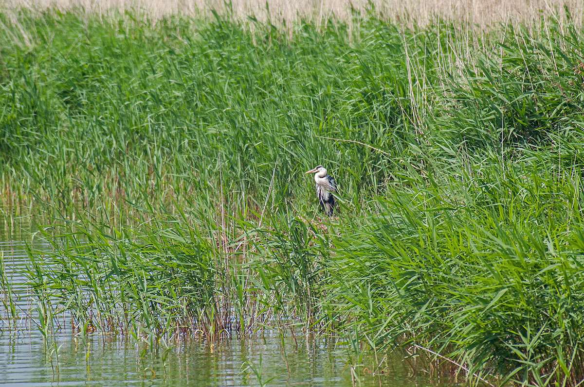 DSC_2501-Bearbeitet.jpg