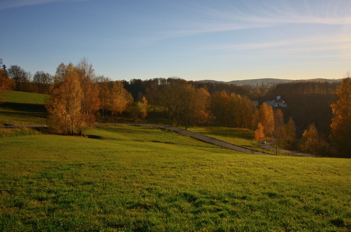 DSC_2510_00001n.jpg