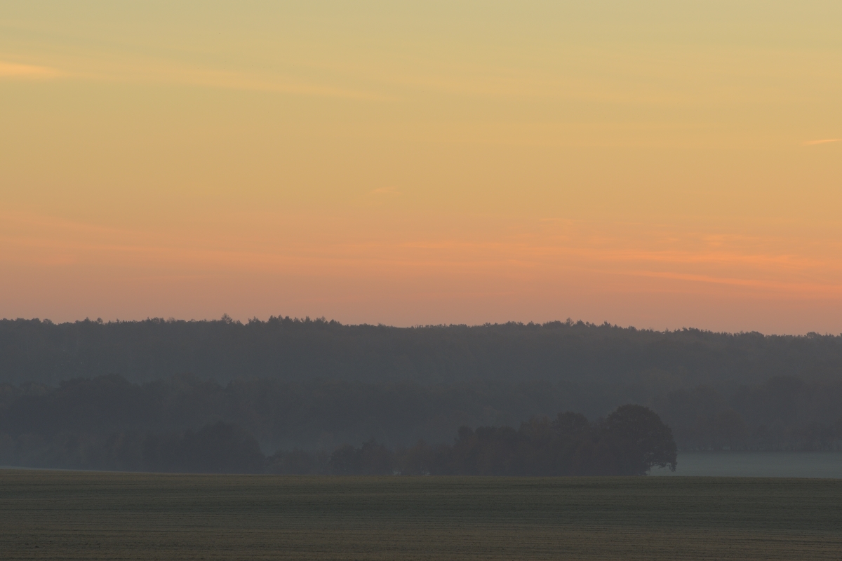 DSC_2542_00001_01.jpg