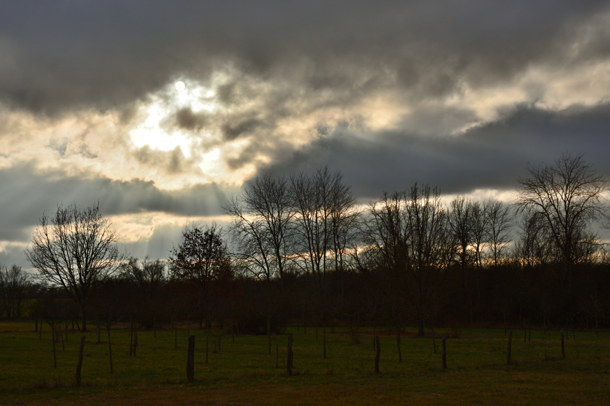 DSC_2554.JPG