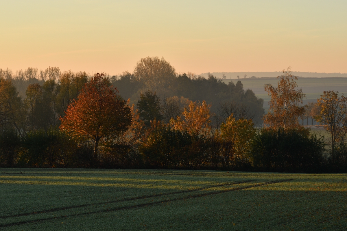 DSC_2557_00001n.jpg