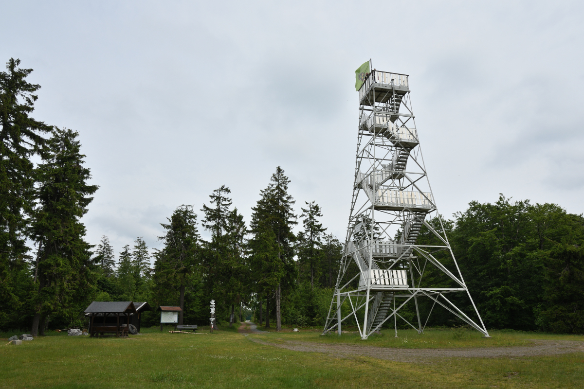 DSC_2560.JPG