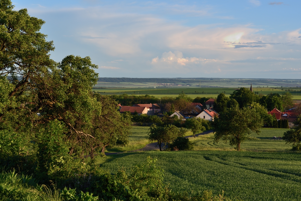DSC_2560_00001_02n.jpg