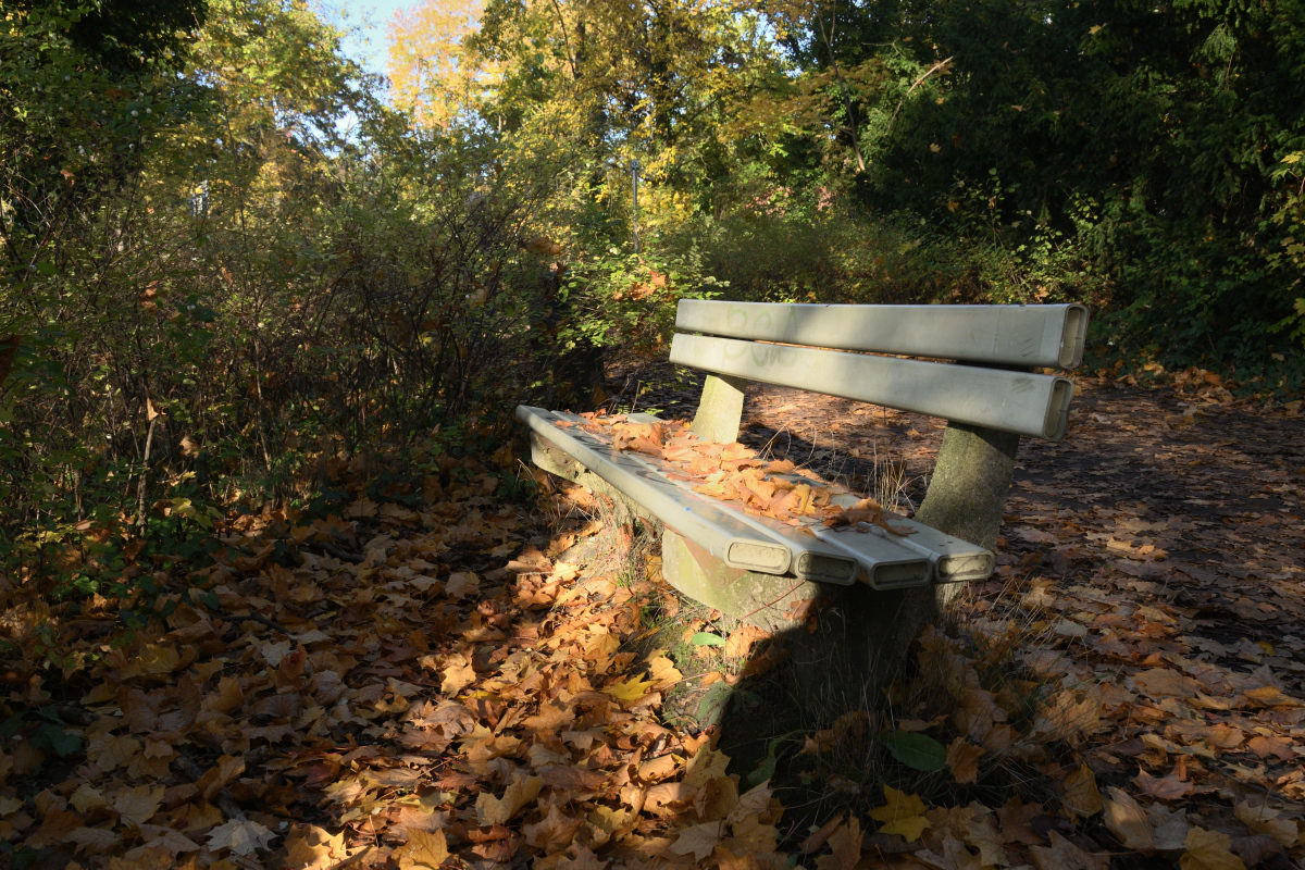 DSC_2570.JPG