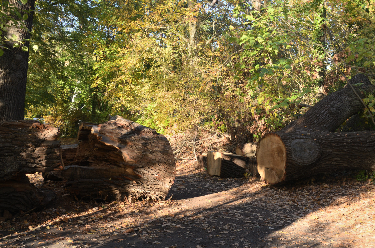 DSC_2571.JPG