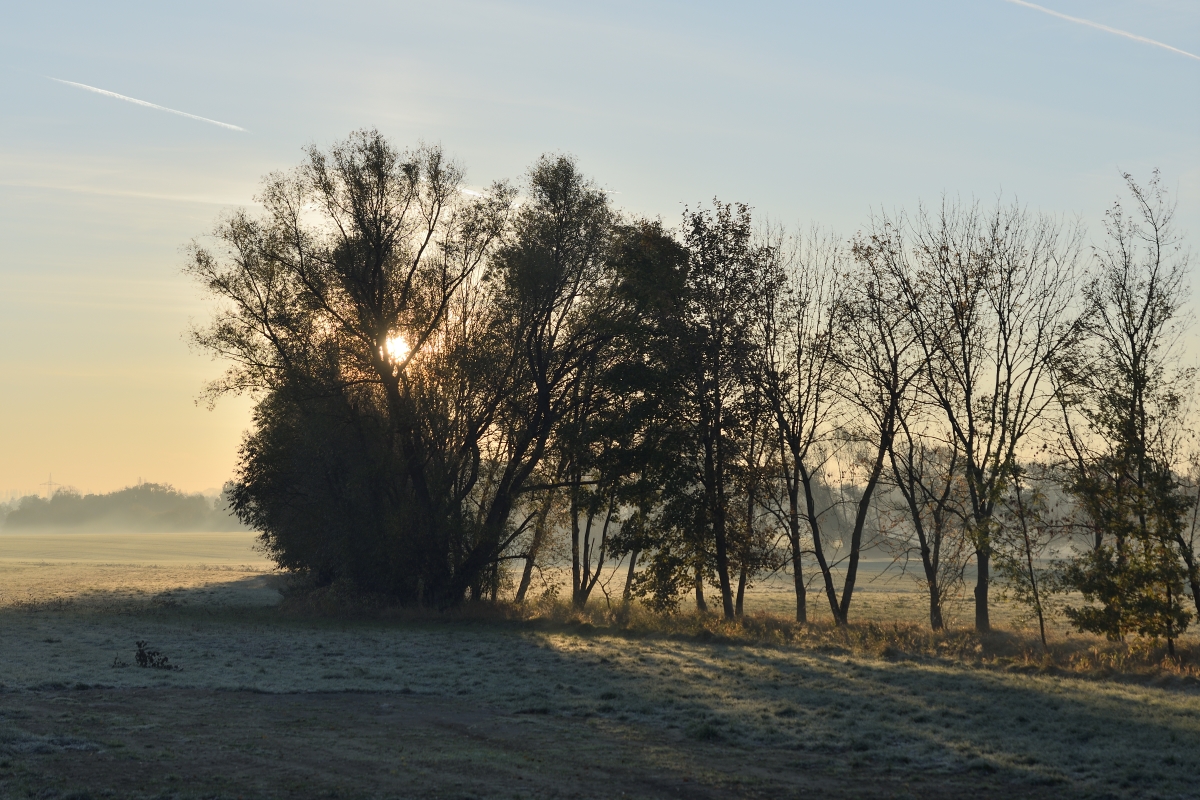 DSC_2581_00001n.jpg