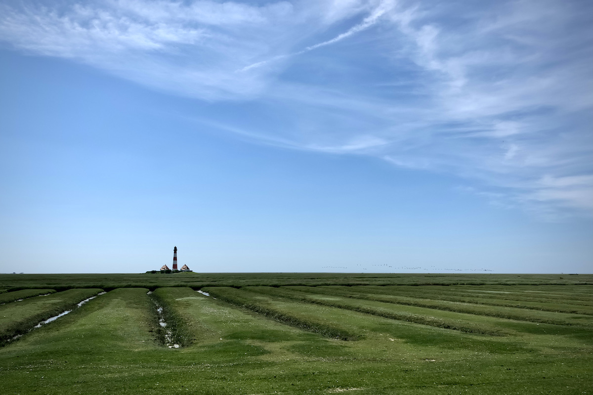 DSC_2583.jpeg