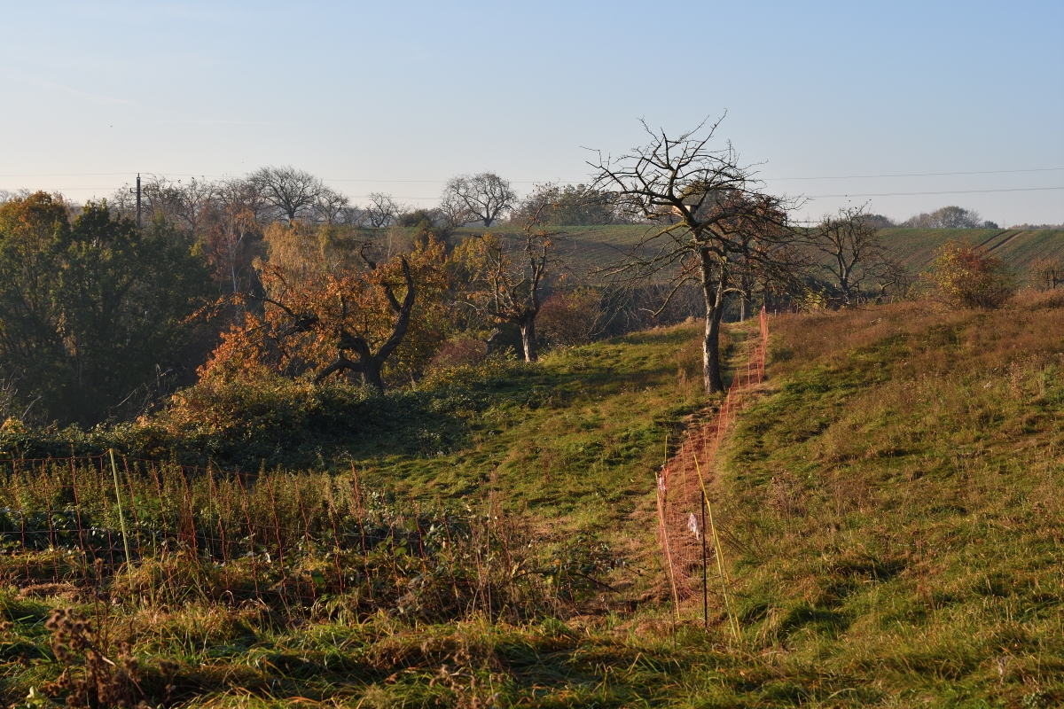 DSC_2604_00001n.jpg