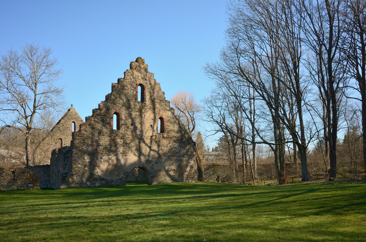 DSC_2607_00001n.jpg