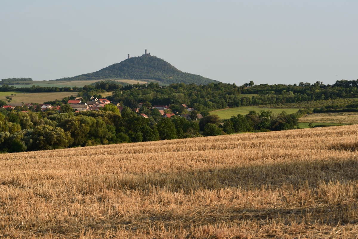 DSC_2607_00001n.jpg