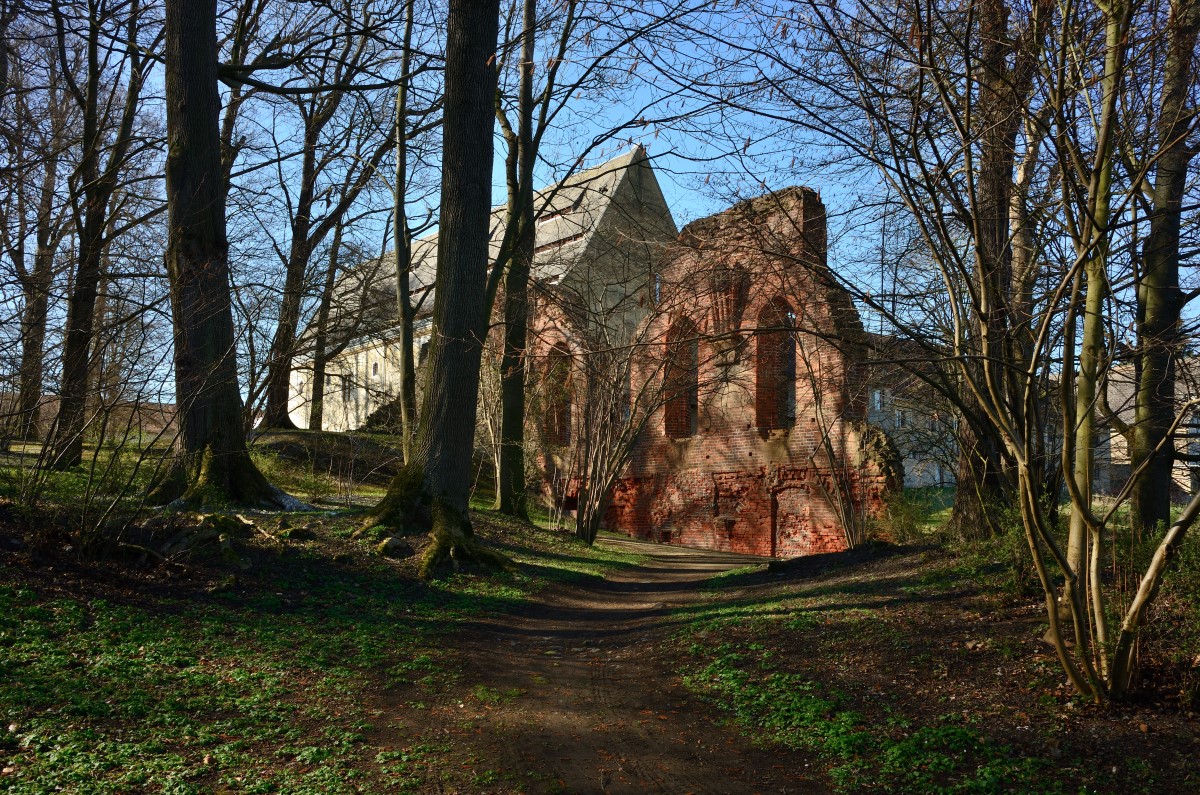 DSC_2610_00001n.jpg
