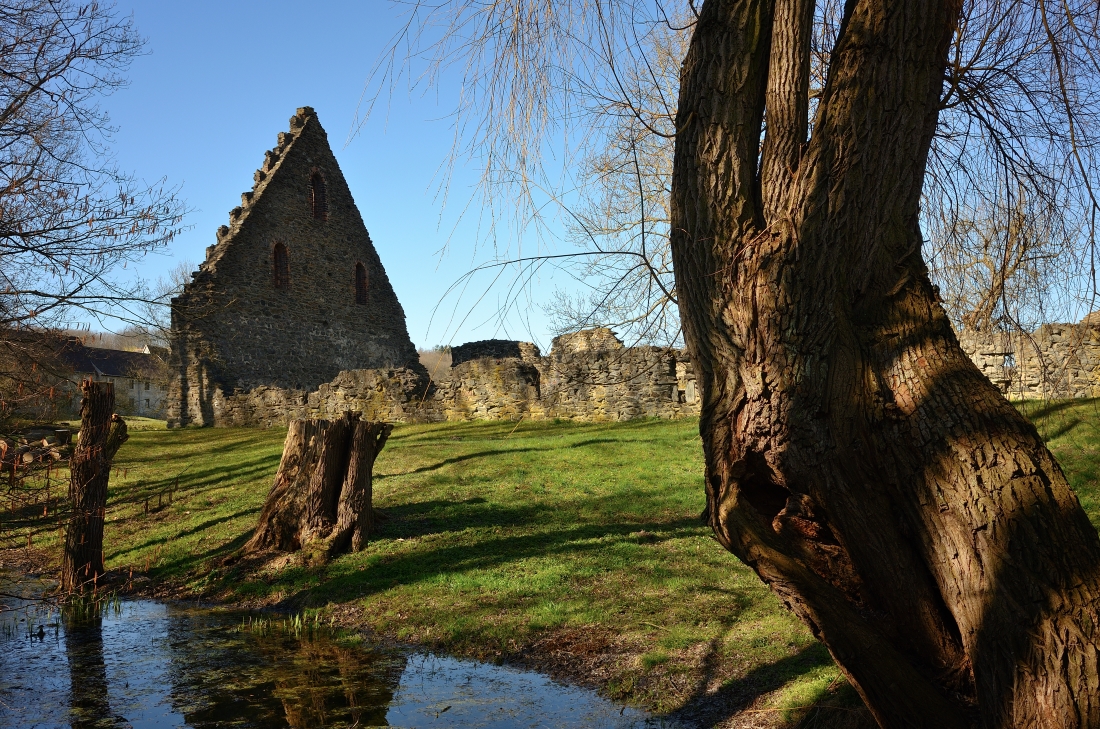 DSC_2611_00001_02n.jpg