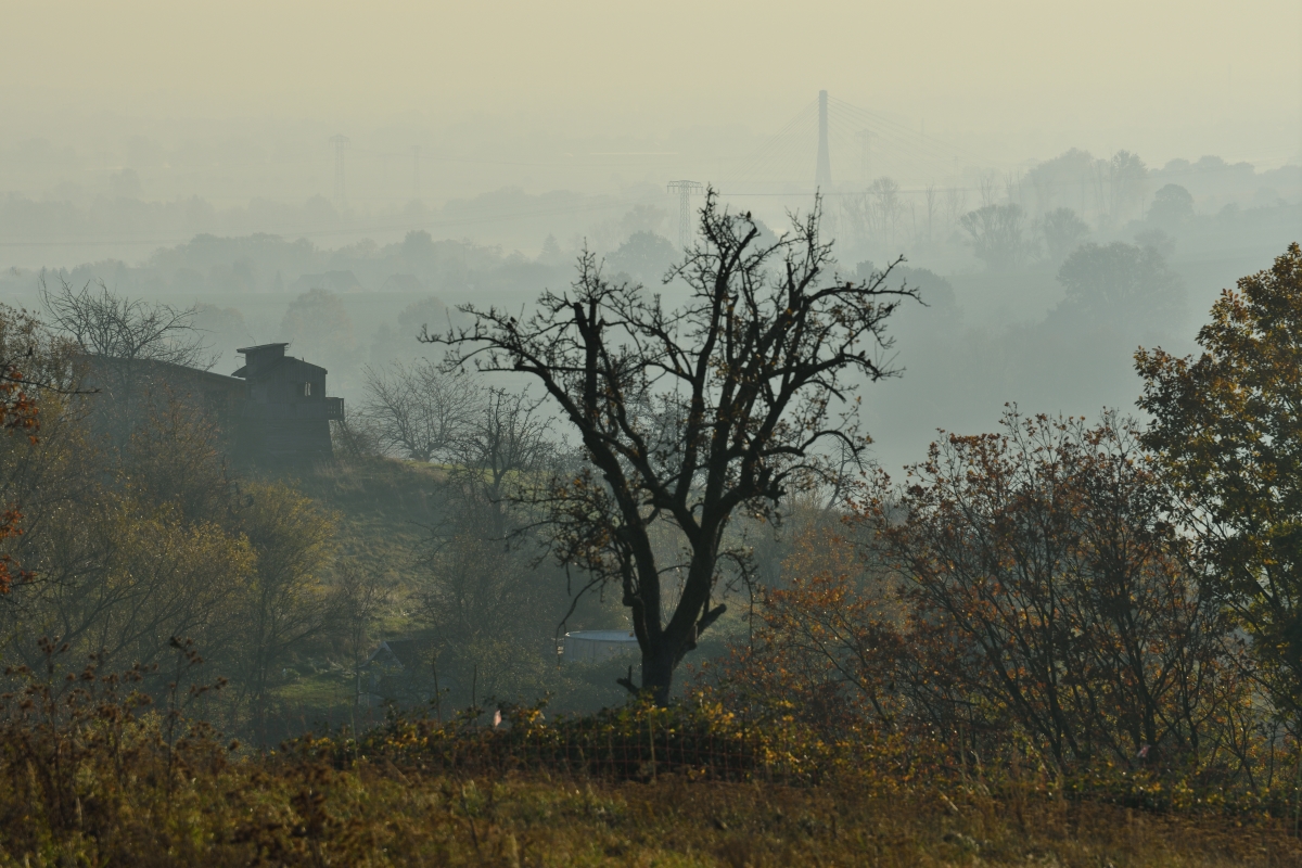 DSC_2612_00001n.jpg