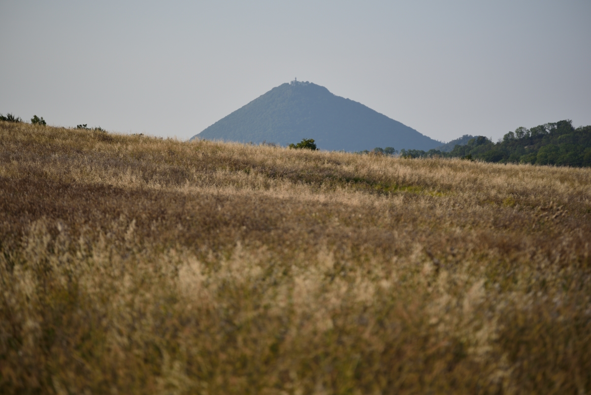 DSC_2612_00001n.jpg