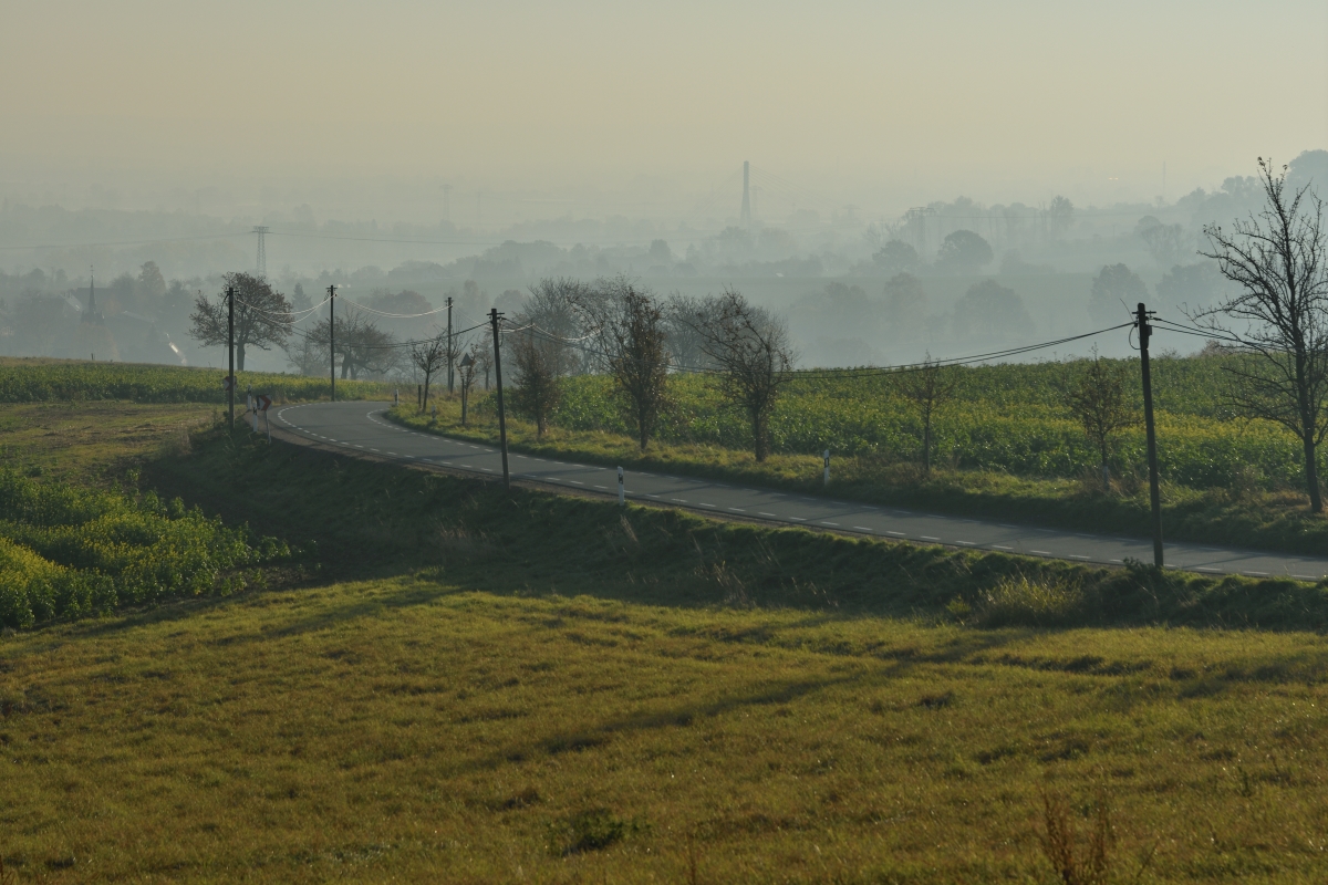 DSC_2622_00001n.jpg