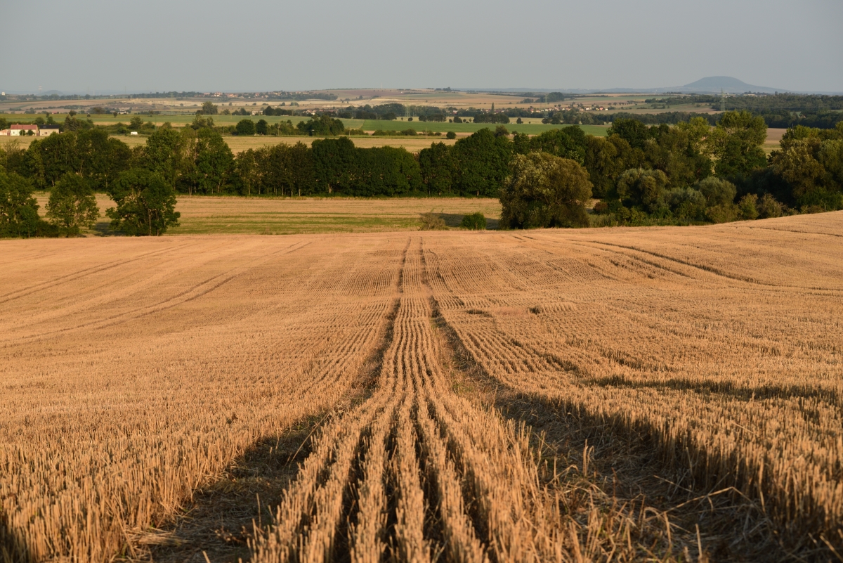 DSC_2634_00001n.jpg